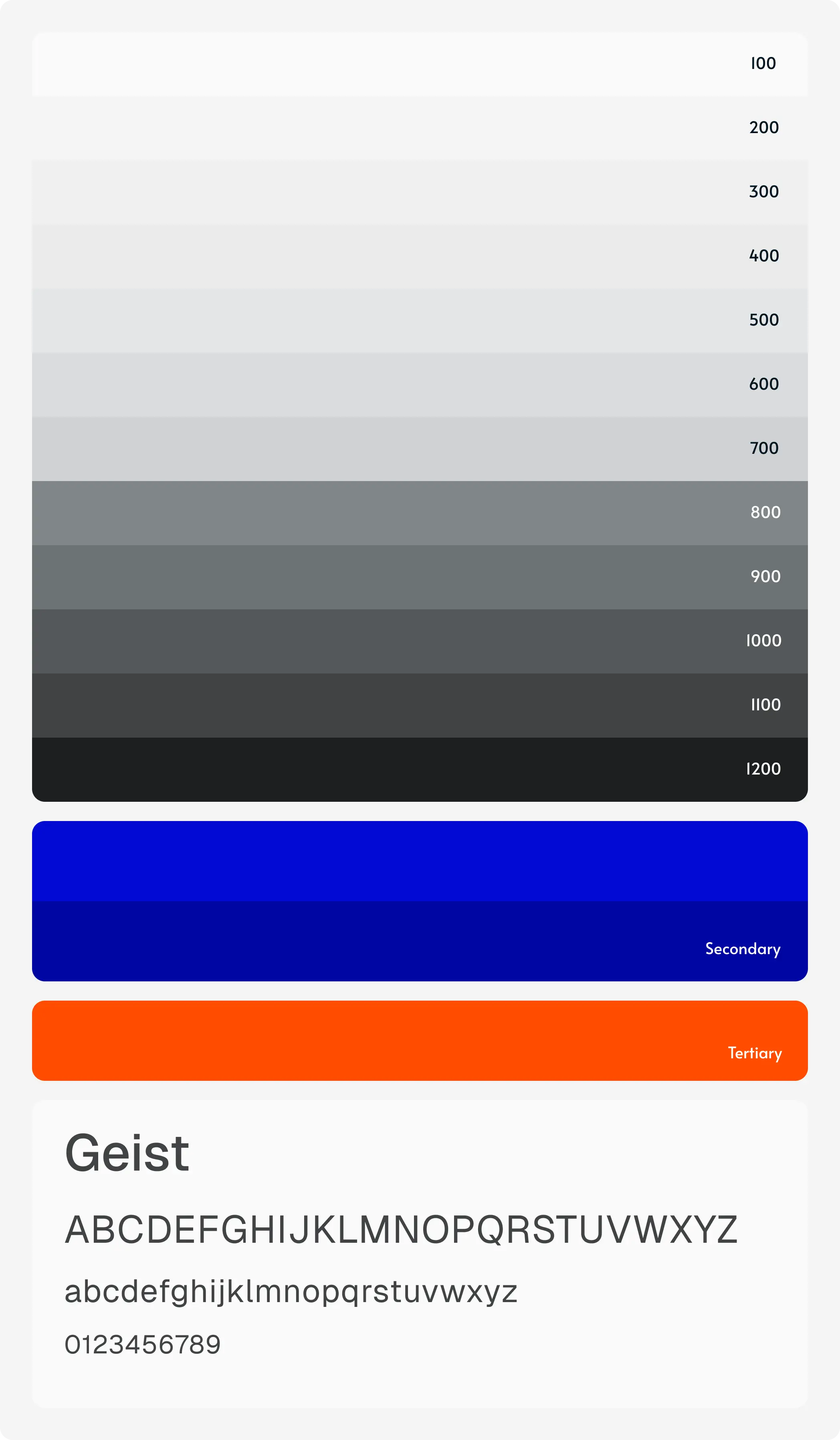 Brand & Visual Direction